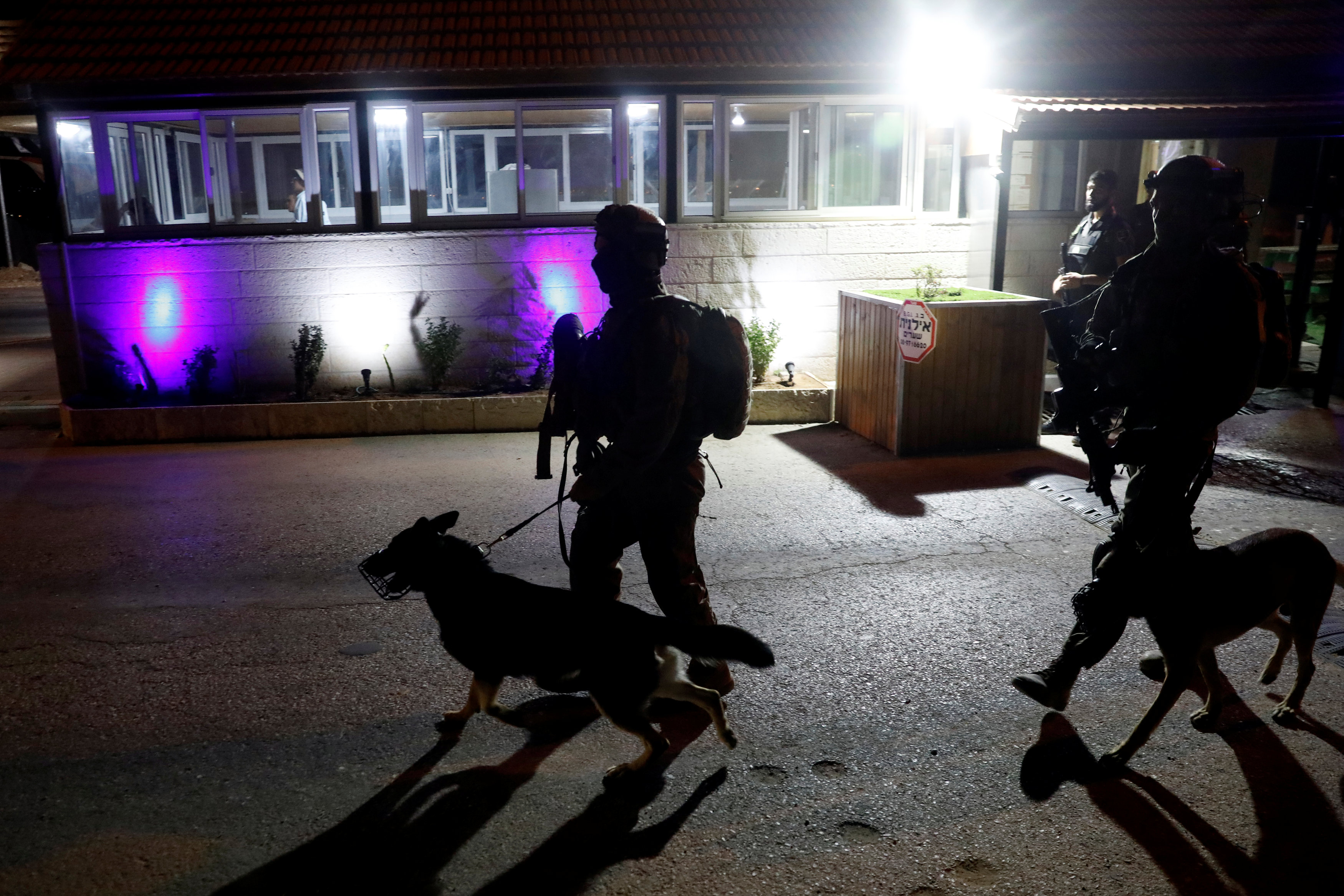 جنود الاحتلال يقومون بدورية مع كلابهم بالقرب من مدخل مستوطنة آدم. رويترز