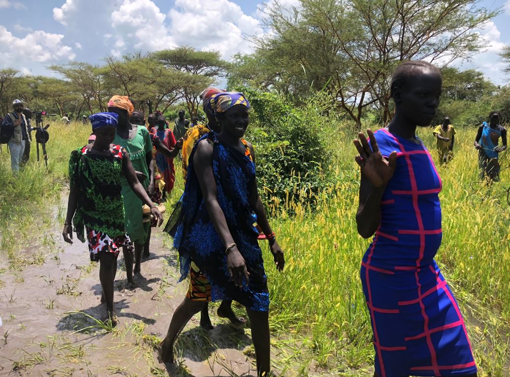 نساء سودانيات جنوبيات يسرن إلى موقع إسقاط جوي للمعونة الغذائية لبرنامج الأغذية العالمي قرب مدينة كاتدالوك. 30 يوليو 2018. رويترز