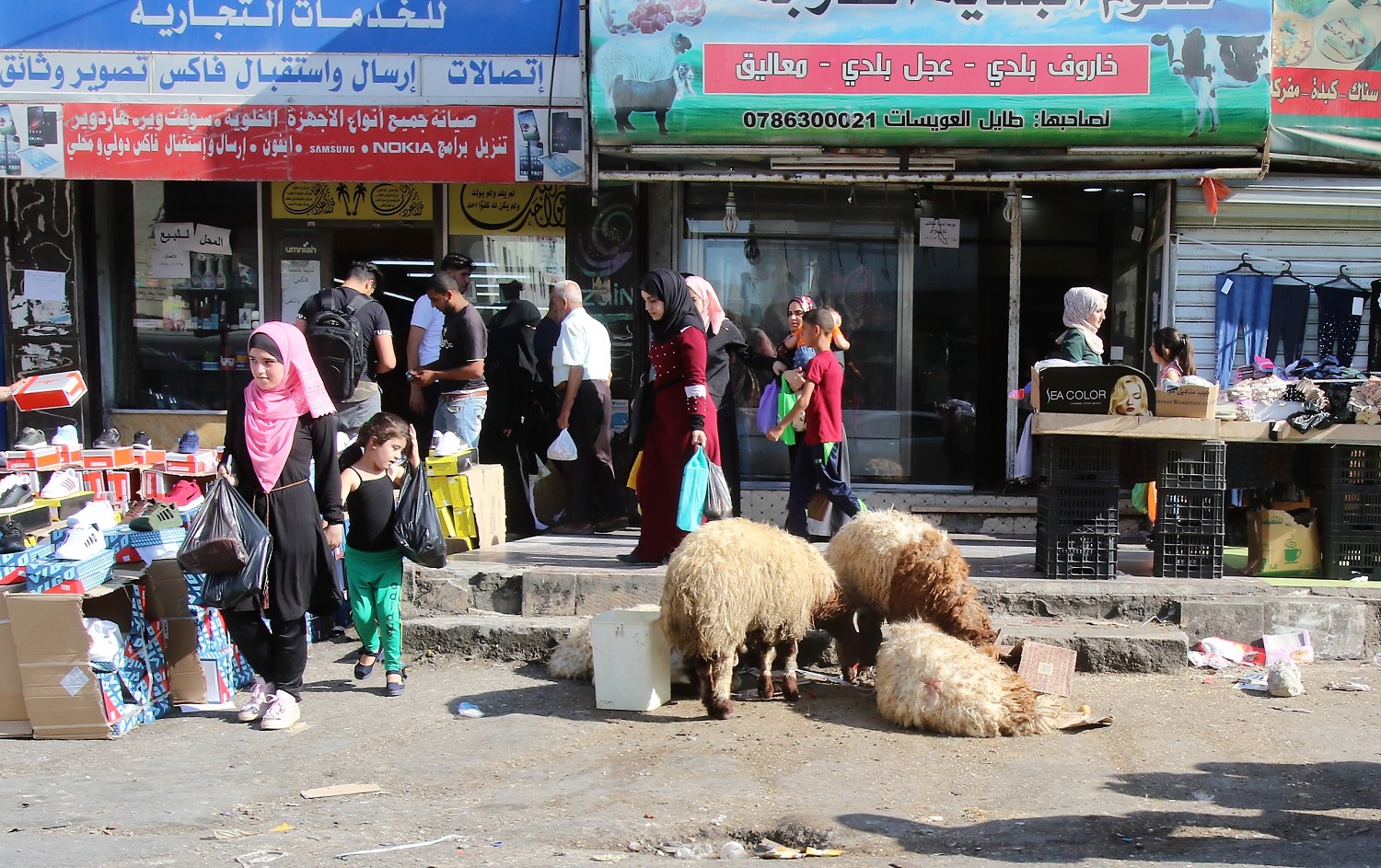 أضاحي امام متاجر لبيع اللحوم في عمان. صلاح ملكاوي/ المملكة