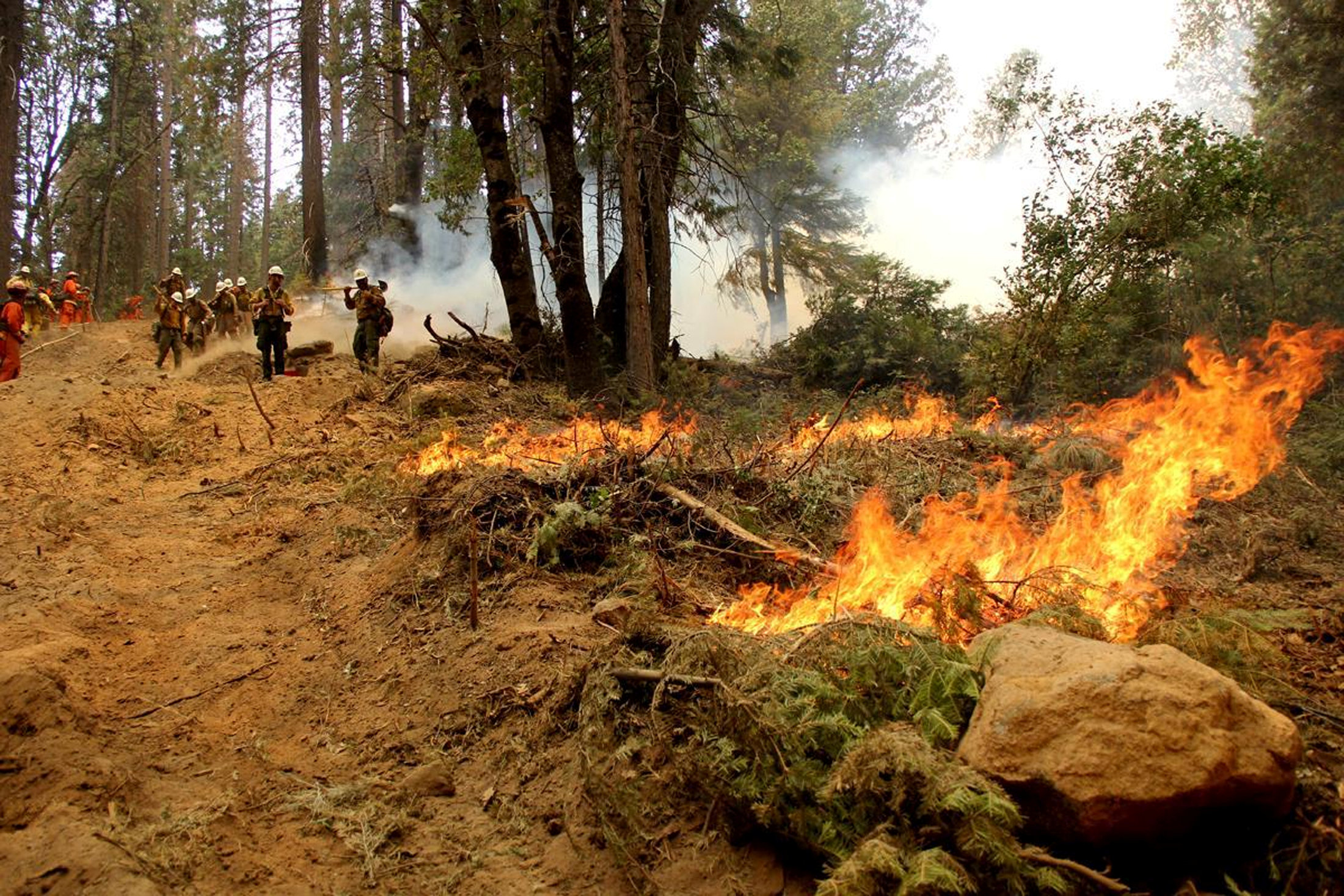 رجال الإطفاء يكافحون الحرائق في غابات بكاليفورنيا. 8 أغسطس 2018. رويترز