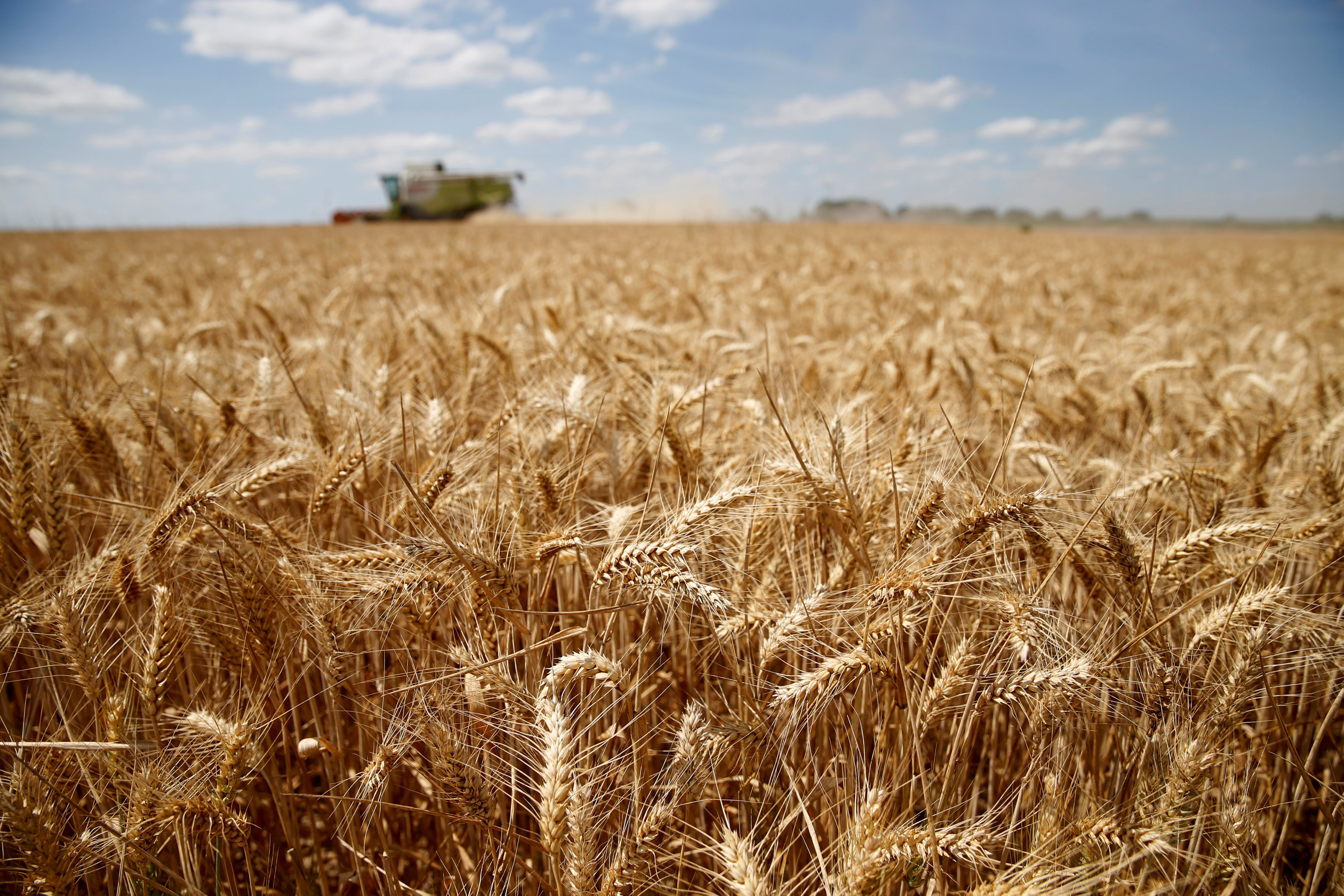 صورة أرشيفية لمزارع يحصد القمح في شمال فرنسا. 17 يوليو 2018. رويترز