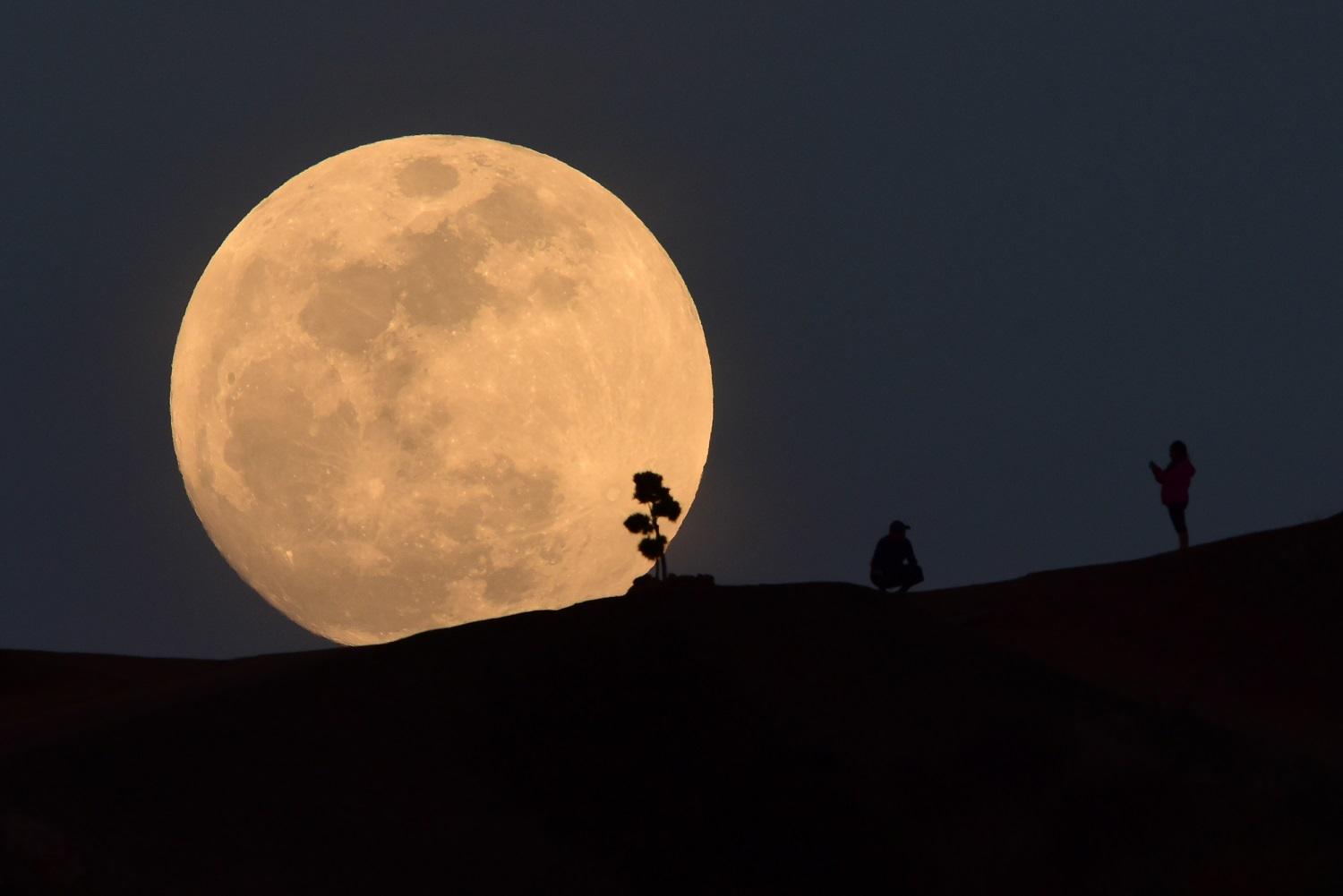 القمر يرتفع فوق حديقة غريفيث في لوس أنجليس ، كاليفورنيا. 18 يناير 2019 ،  بيتر باركس / أ ف ب