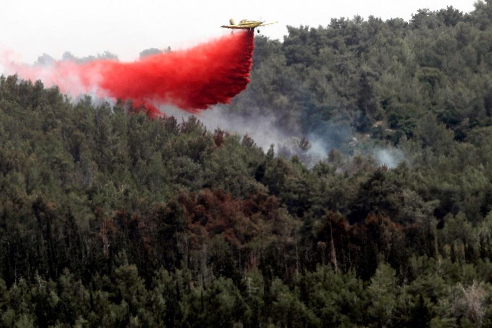 طائرة لإطفاء الحرائق تحلق فوق غابة قرب القدس.24 مايو 2019. رويترز