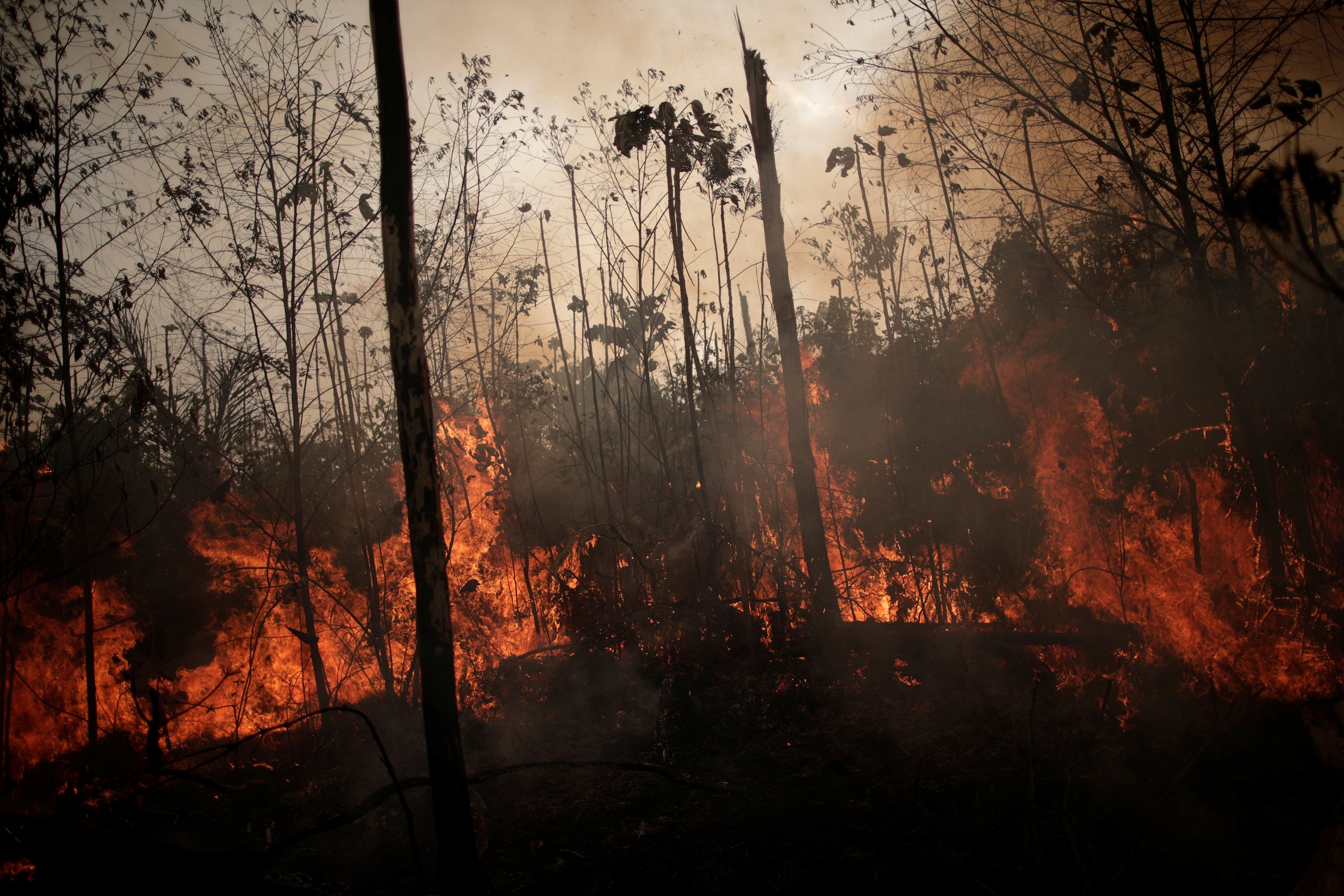 جانب من حرائق غابات الأمازون، 23 آب/أغسطس 2019. (رويترز)