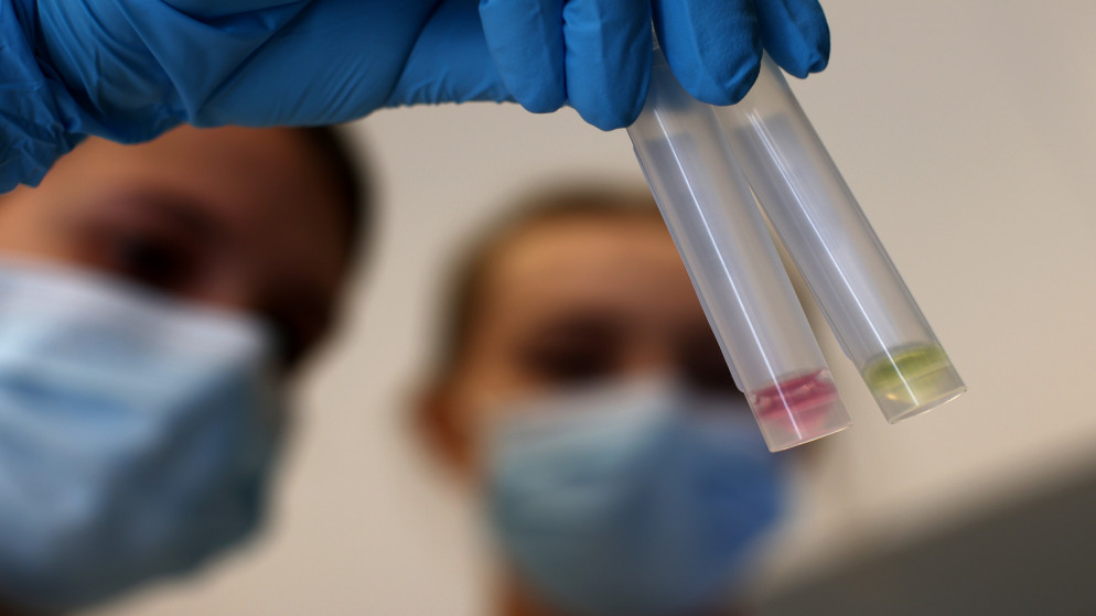 عينتان في مختبر في فيينا في النمسا لإجراء فحص الكشف عن فيروس كورونا المستجد، 6 تشرين الأول/أكتوبر 2020. (رويترز)