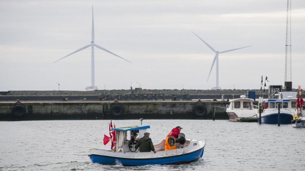 يشق قارب صيد صغير طريقه إلى ميناء ثيبورون غرب الدنمارك. 30 سبتمبر/أيلول 2020.(أ ف ب)