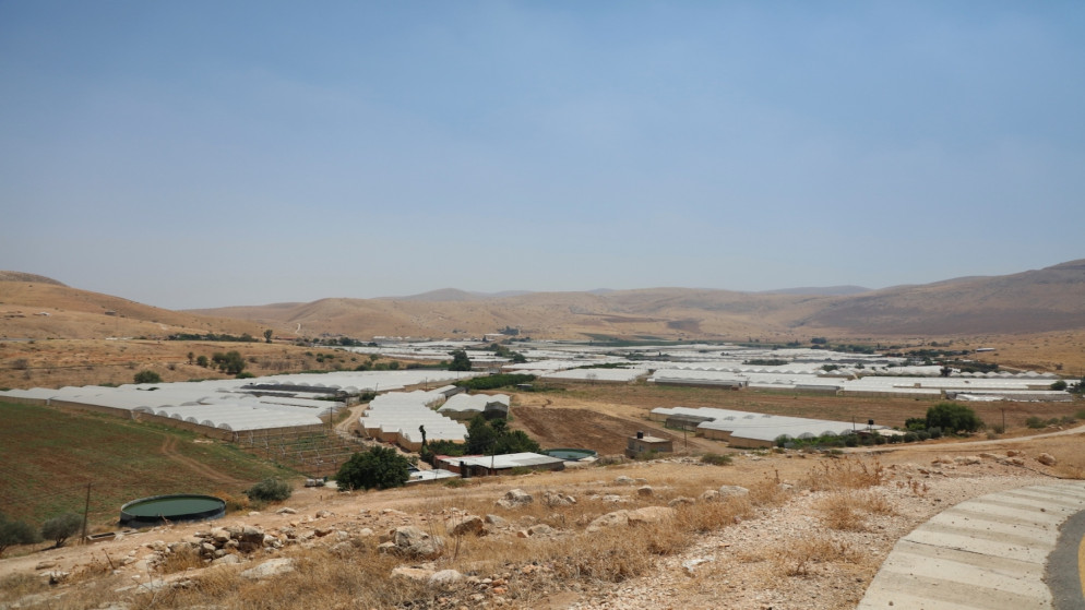 منظر عام من قريتي فروش بيت دجن، والجفتلك المهددة بالضم الإسرائيلي في الأغوار الوسطى. 2020/6/30. (عدي دعيبس/ وفا)
