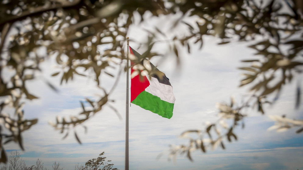 علم فلسطين تحيط به أوراق شجر الزيتون. (shutterstock)