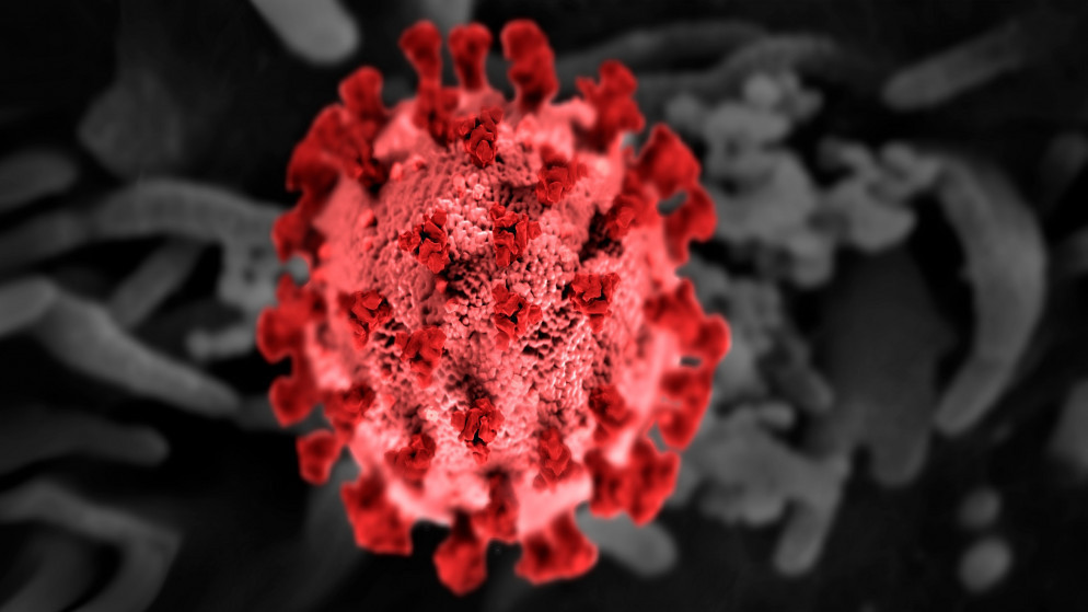 رسم توضيحي ثلاثي الأبعاد لفيروس كورونا المستجد. (shutterstock)