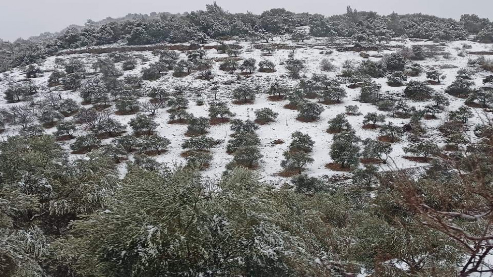 تراكم للثلوج على مرتفعات منطقة ساكب/المعراض في محافظة جرش (أكرم الرواشدة/المملكة)
