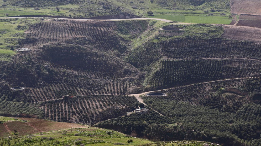 صورة تُظهر منظرًا لمنطقة أعاد المتطوعون الأردنيون زرعها بالشتلات بالقرب من غابة كفرنجة. 11 فبراير 2021.(أ ف ب)