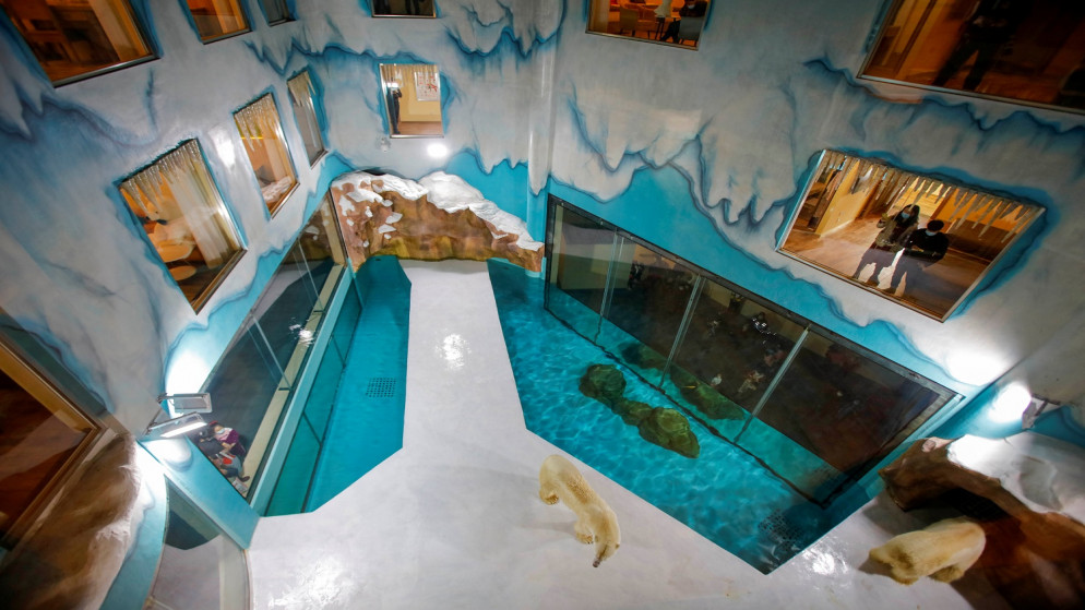 زائرون ينظرون إلى الدببة القطبية داخل فندق في إقليم هيلونغجيانغ في أقصى شمال شرق الصين. 12 مارس/آذار 2021.(رويترز)
