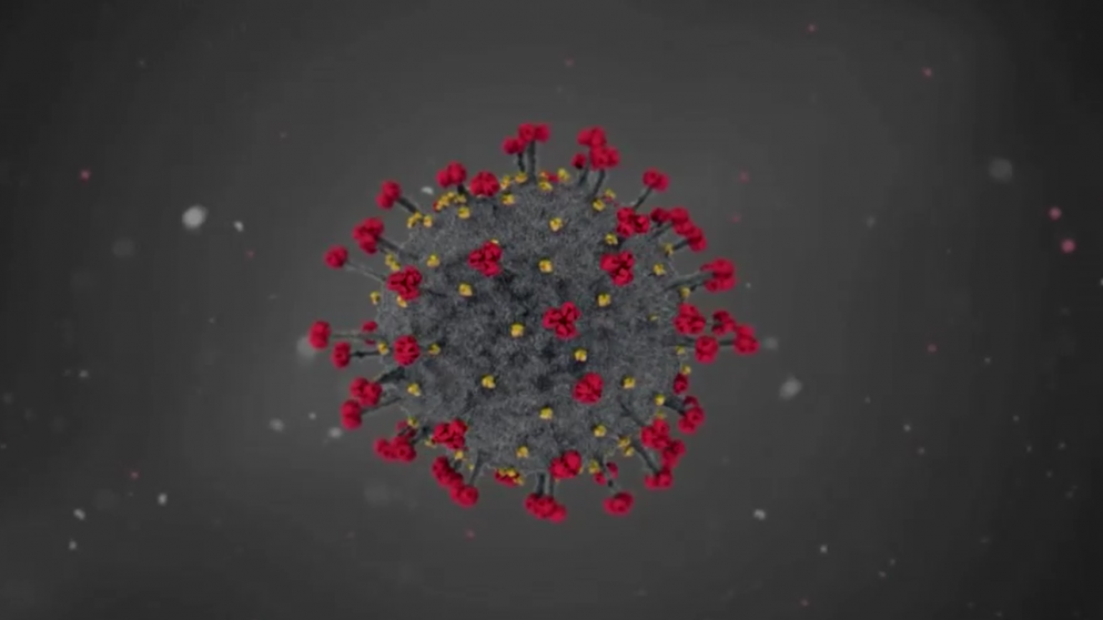 صورة ثلاثية الأبعاد لفيروس كورونا المستجد. (رويترز)