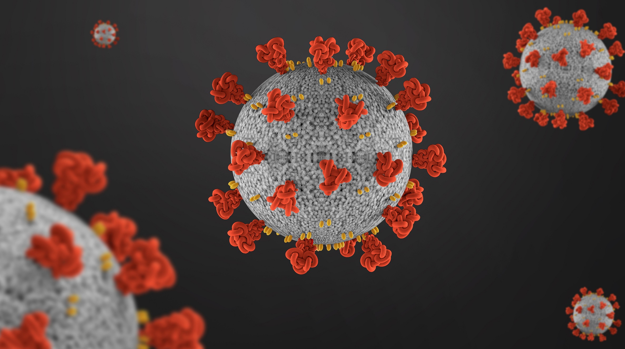 صورة مجهرية ثلاثية الأبعاد لفيروس كورونا. (shutterstock)