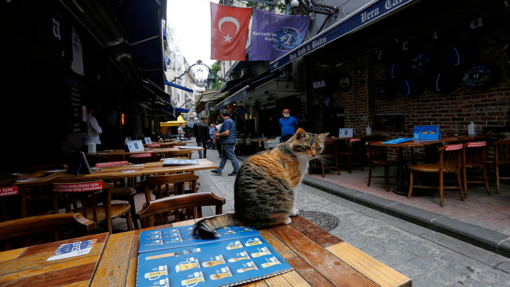 قطة تجلس على طاولة فارغة مع إعادة فتح المقاهي والمطاعم بعد إغلاقها لأشهر وسط تفشي كورونا، في اسطنبول، تركيا، 1/6/2021. (رويترز / ديلارا سينكايا)