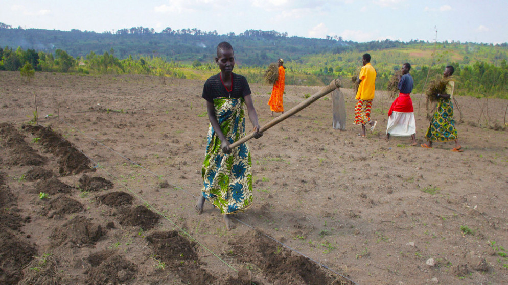 تقوم نساء في بوروندي بإعداد الأرض بالمعاول استعدادا للزراعة. (الأمم المتحدة)