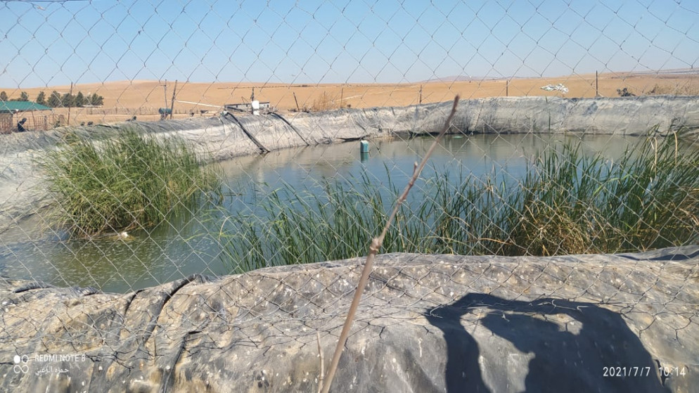 خلال ضبط اعتداء على خط رئيسي في الكرك لتزويد برك زراعية وتعبئة صهاريج. (وزارة المياه والري)