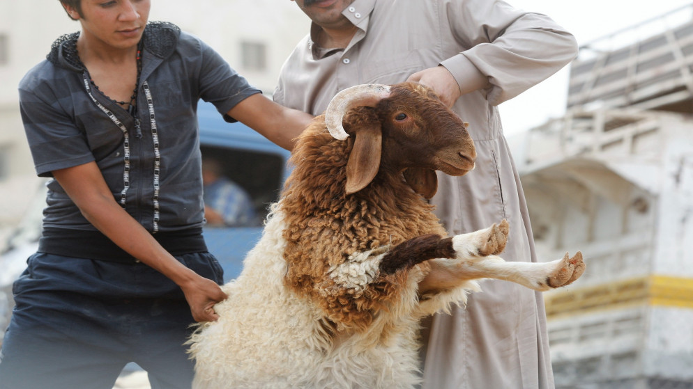 صورة أرشيفية لمواطنين يشترون أضحية لعيد الأضحى. (صلاح ملكاوي/المملكة)