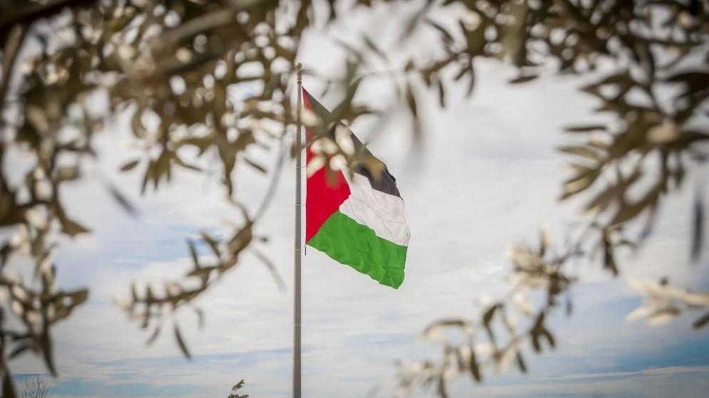 علم فلسطين تحيط به أوراق شجر الزيتون. (shutterstock)