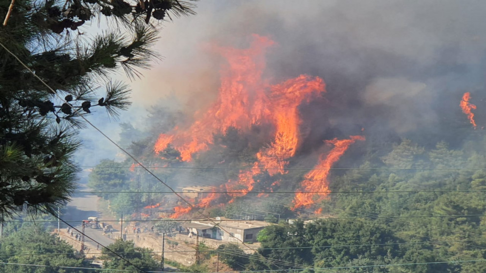 حريق في أحراج القبيات شمال لبنان. (وكالة الأنباء اللبنانية)