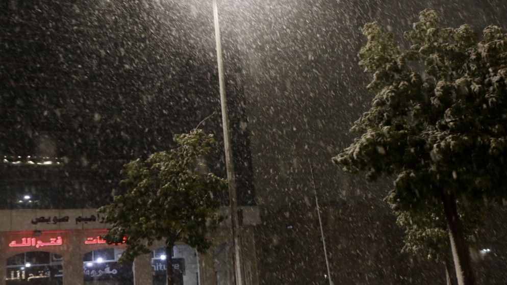 عمود كهرباء في شارع خلال تساقط للثلوج. (صلاح ملكاوي / المملكة)