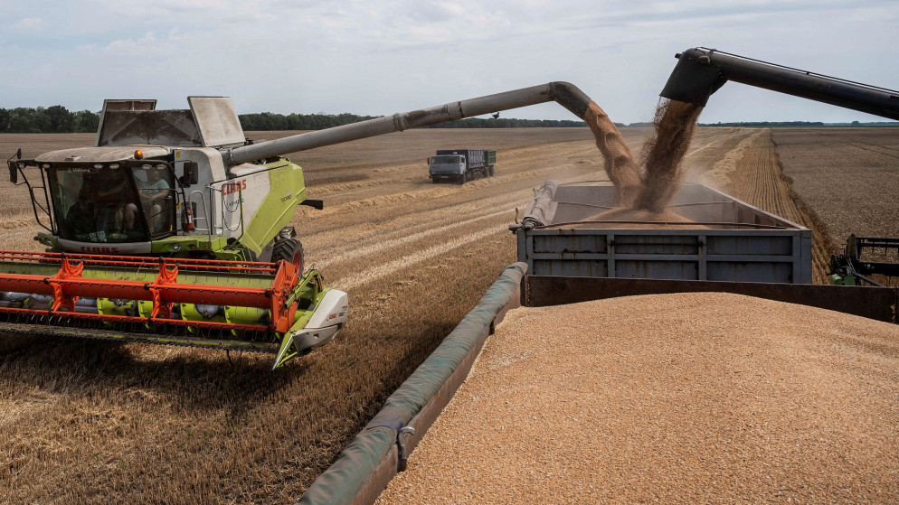 عمليات تفريغ القمح بعد حصده من حقل في العاصمة الأوكرانية كييف. (رويترز)