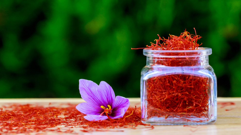 بهارات الزعفران المجففة في زجاجة وزهرة الزعفران على طاولة خشبية.(shutterstock)