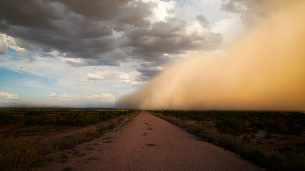 صورة تعبيرية. (shutterstock)