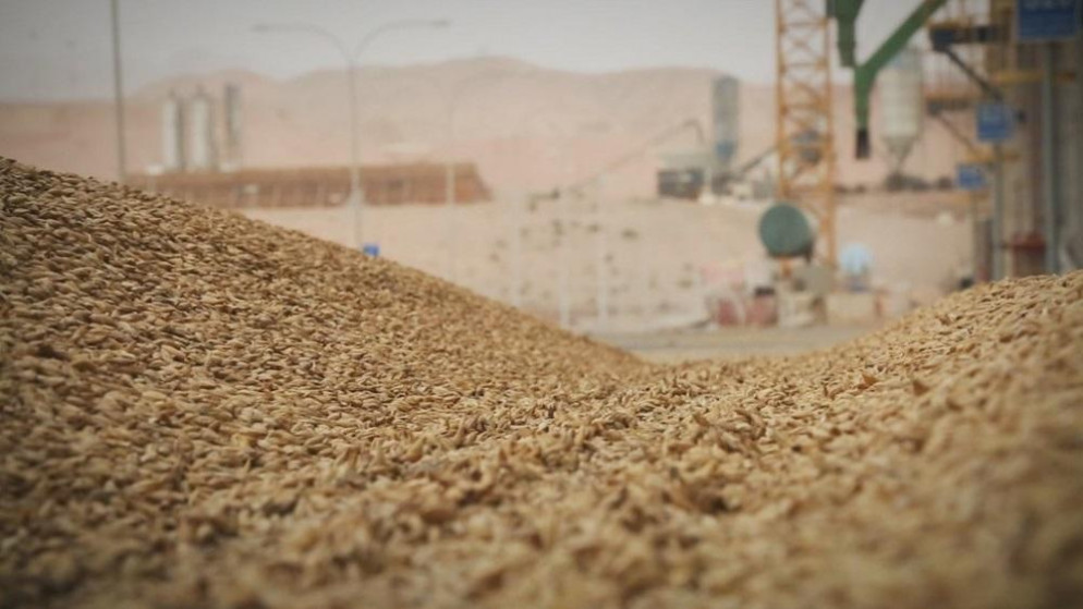 صورة أرشيفية لشحنات قمح في الأردن. (فادي اسكندراني/المملكة)