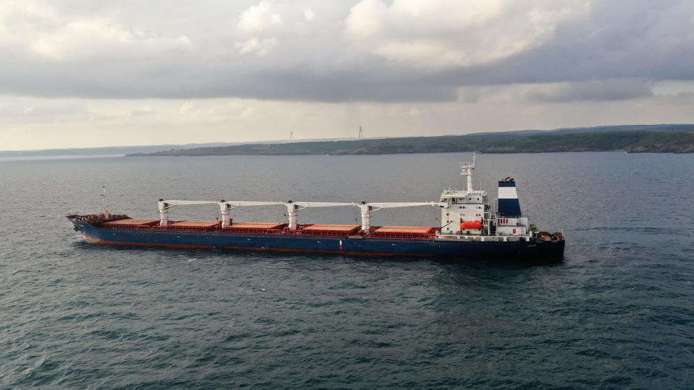 سفينة الشحن "رازوني" التي ترفع علم سيراليون وتحمل حبوبا أوكرانية، شوهدت في البحر الأسود قبالة كيليوس، بالقرب من إسطنبول، تركيا، 3 آب/أغسطس 2022. (رويترز)
