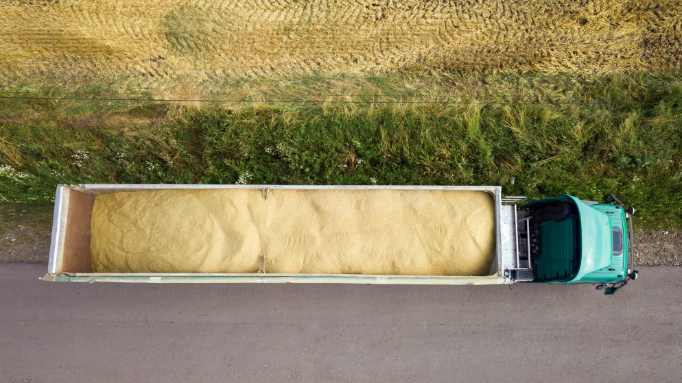 منظر من الجو لشاحنة بضائع تحمل قمحا تسير على طريق ترابي بين حقول زراعية خلال موسم الحصاد. (shutterstock)
