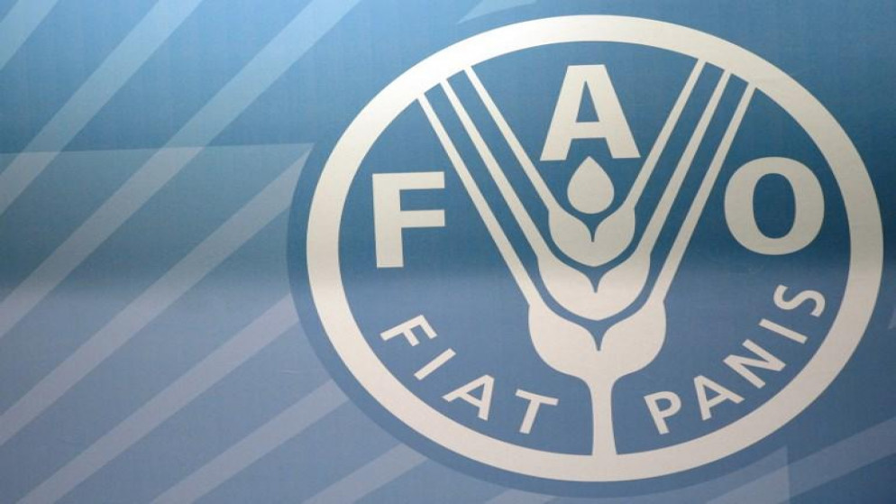 شعار منظمة الأغذية والزراعة التابعة للأمم المتحدة "فاو". (أ ف ب)