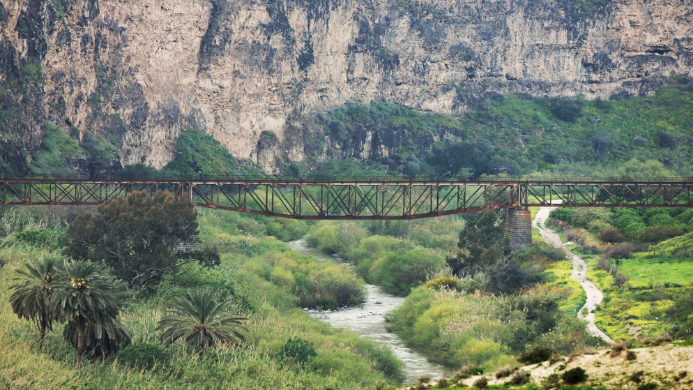 الباقورة إربد. (صلاح ملكاوي/المملكة)
