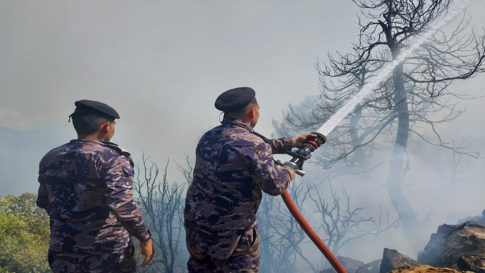 كوادر الدفاع المدني خلال اخماد حريق في غابات جرش.14/7/2023. (المملكة/أكرم الرواشدة)