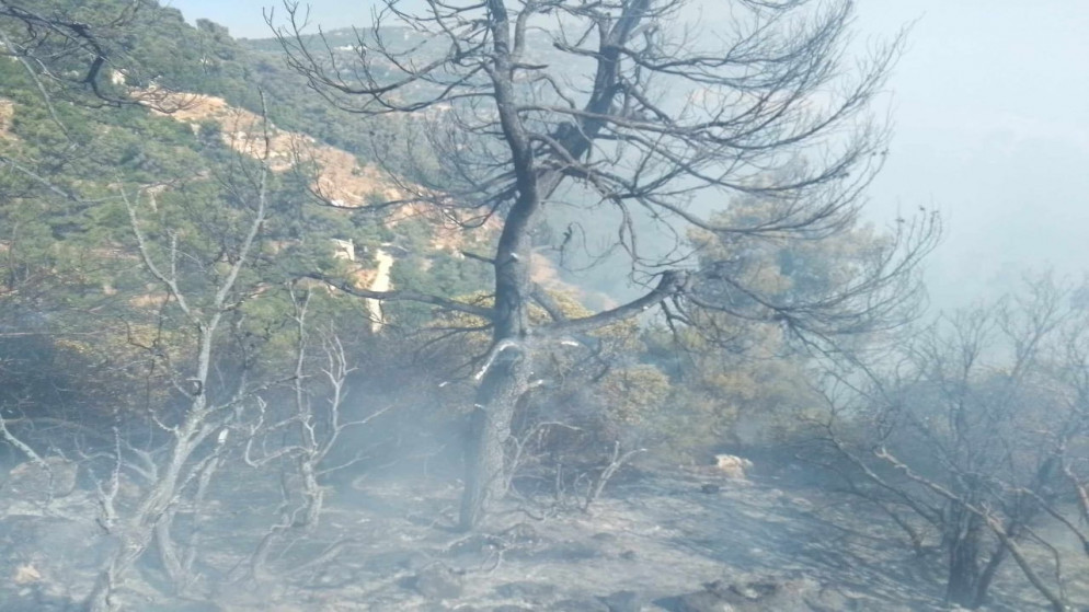 الدفاع المدني يسيطر على حريق نشب في غابات مساحتها 1200 دونم. (أكرم الرواشدة/ المملكة)
