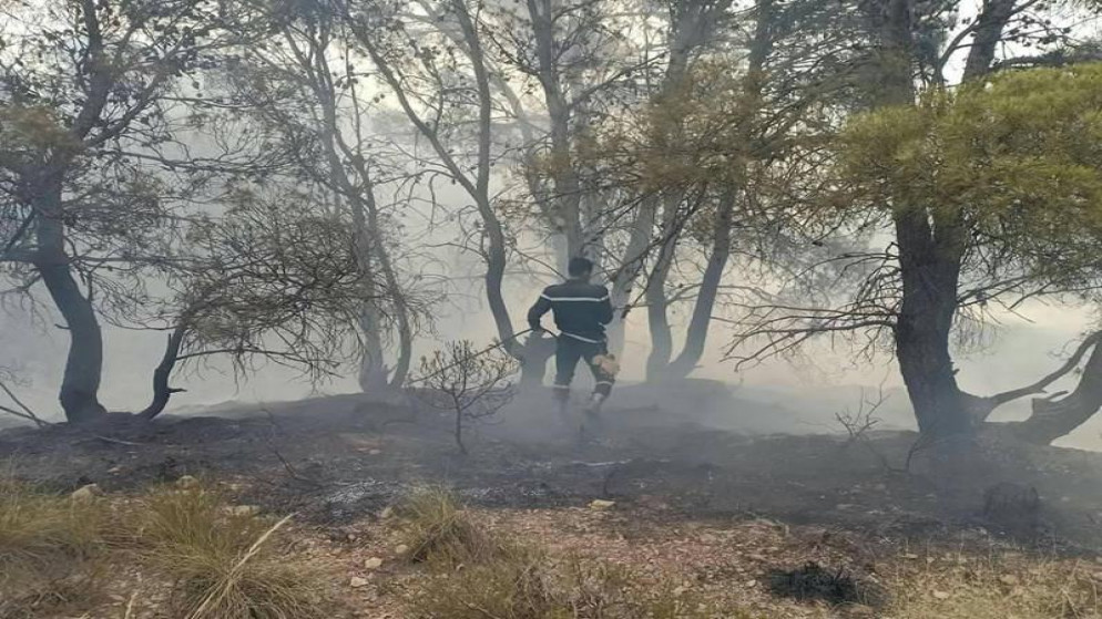 صورة لرجل إطفاء خلال التعامل مع حريق. (بترا)