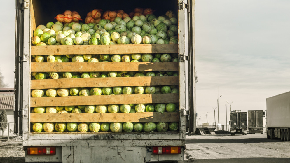 صورة تعبيرية. (istockphoto)