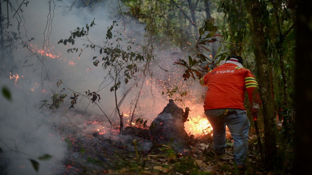 شخص يحاول إطفاء حريق في غابات في ولاية فيراكروز، في هويلوبان دي كواوتيموك، المكسيك، 26 آذار 2024. (رويترز)