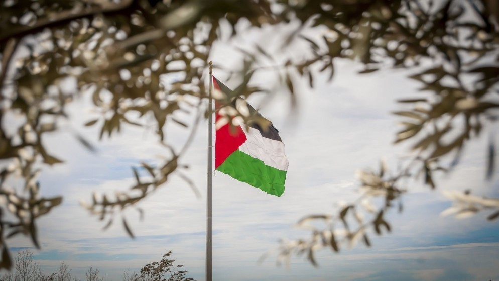 علم فلسطين وتحيط به أوراق زيتون. (shutterstock)