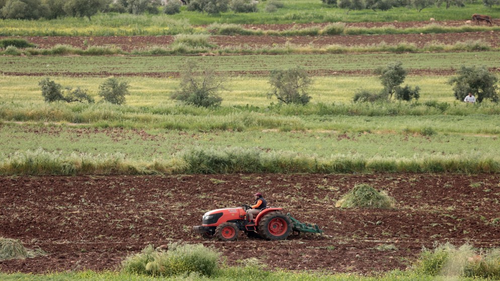 مزارع يحرث أرضه في إحدى قرى محافظة إربد شمالي الأردن. (صلاح ملكاوي/ المملكة)