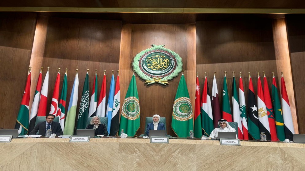 الأردن يشارك في اجتماعات كبار المسؤولين للمجلس الاقتصادي والاجتماعي.(وزارة الصناعة)