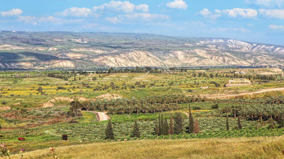 وحدات زراعية في منطقة وادي الأردن. (istockphoto)