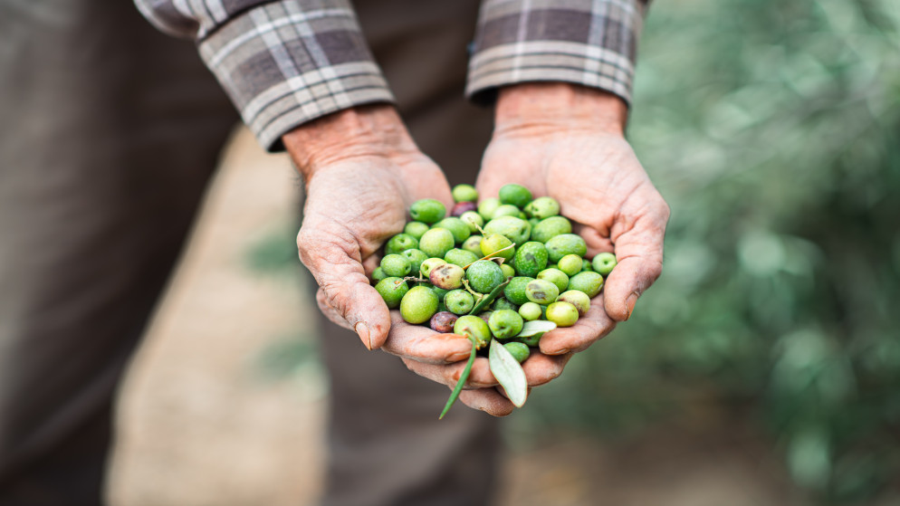 صورة تعبيرية. (istockphoto)