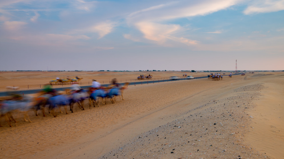 صورة تعبيرية لسباق الهجن. (istockphoto)