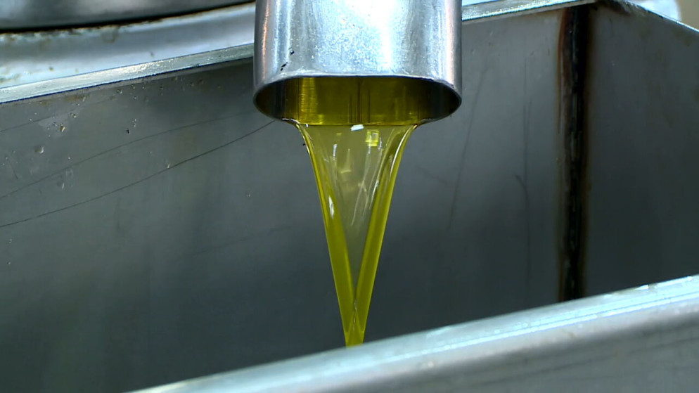 زيت زيتون.(المملكة)