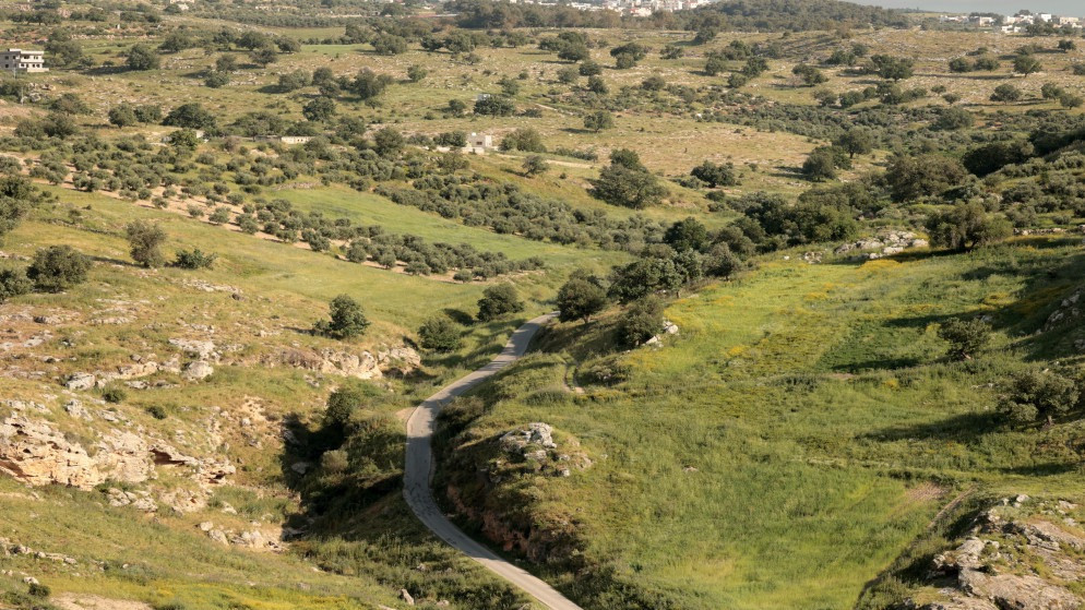 صورة أرشيفية للربيع. (المملكة/ صلاح ملكاوي )