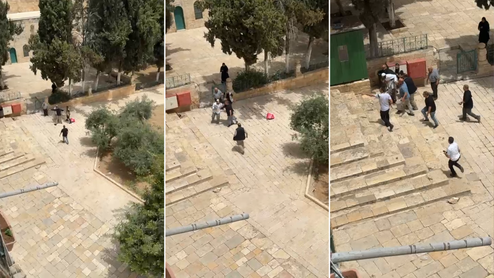 مستوطنون متطرفون يحاولون تهريب خروف إلى المسجد الأقصى المبارك. (المملكة)