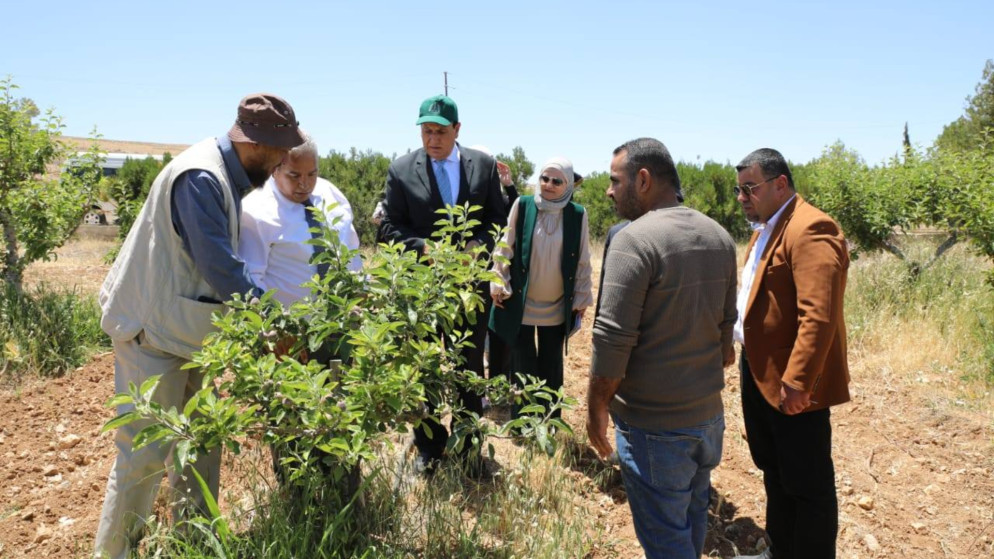 المدير العام للمركز الوطني للبحوث الزراعية إبراهيم الرواشدة، خلال زيارته التفقدية لمركز الشوبك للبحوث الزراعية. (المركز الوطني للبحوث الزراعية).