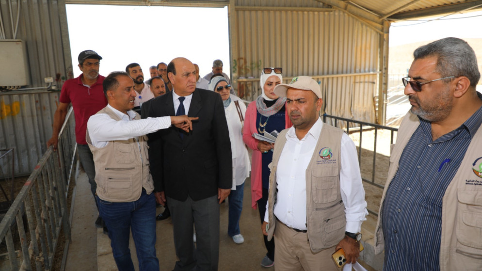 مدير عام المركز الوطني للبحوث الزراعية إبراهيم الرواشدة في محطة الخناصري لبحوث الثروة الحيوانية والمراعي. (مركز البحوث الزراعية)