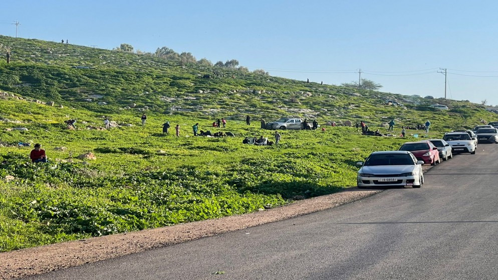 صورة تعبيرية. (بترا)